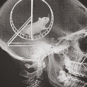 Meet your Posher, Scott